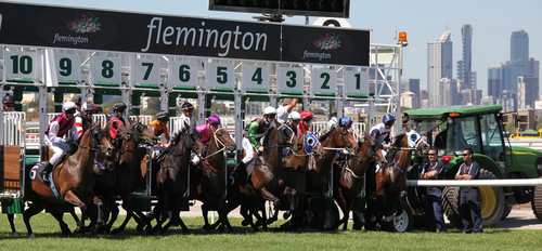 Harris Tweed Melbourne Cup odds, form and barrier