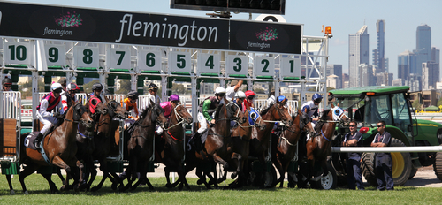 How do I place a bet online for the Melbourne Cup?