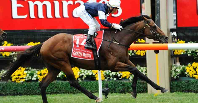 Jakkalberry Melbourne Cup Odds and Betting 2012