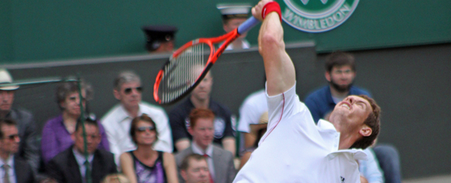 2013 ATP Tennis Wimbledon Men's Singles Final Odds