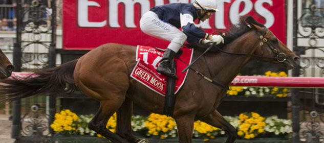 Mourayan Melbourne Cup Odds and Betting 2013