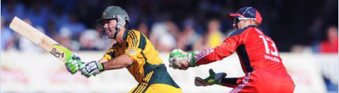 Cricket